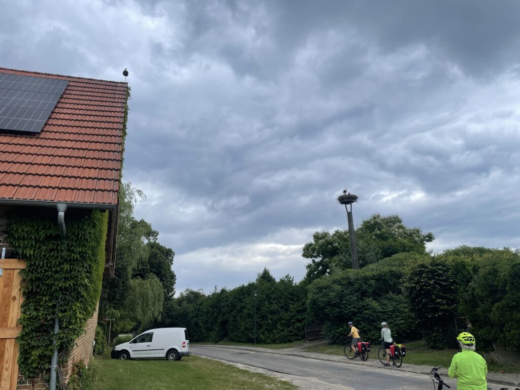 stork nest and bicycles